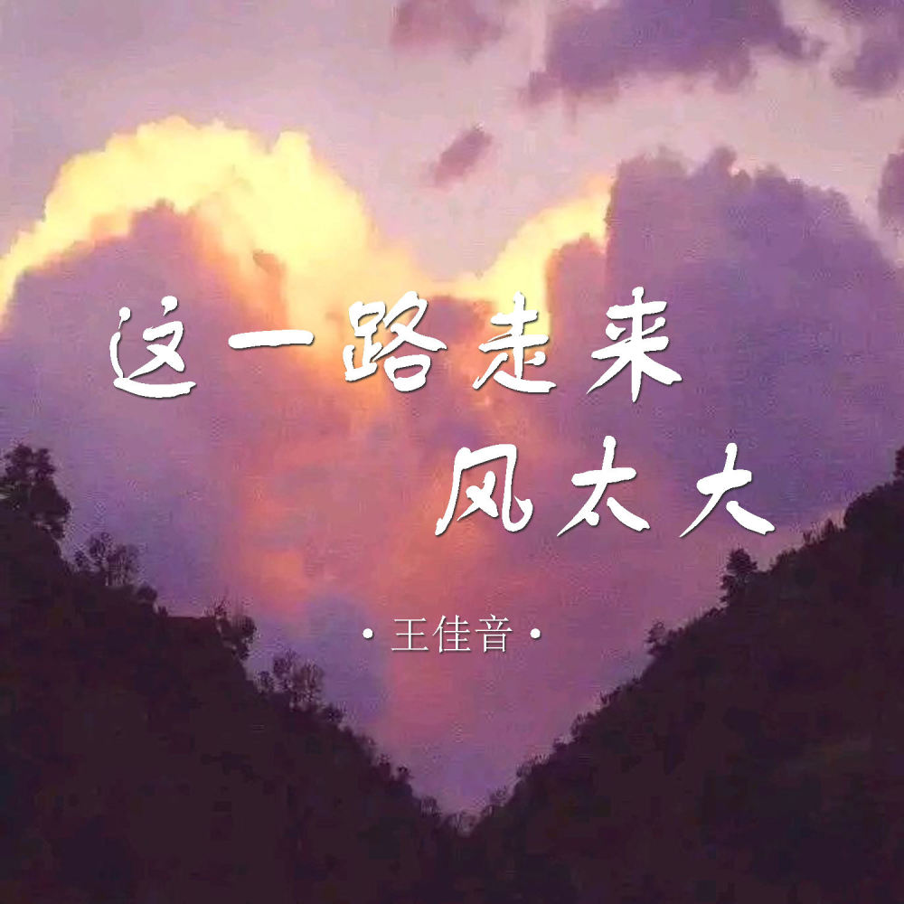 这一路走来风太大 (伴奏)