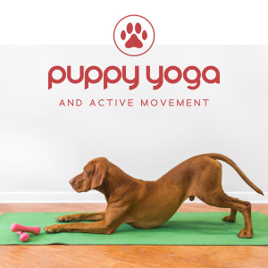 Puppy Yoga and Active Movement (Calm Down Meditation)