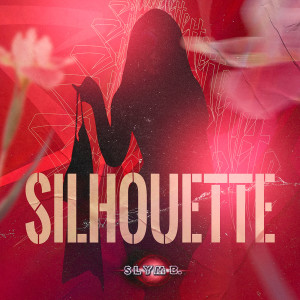 Album Silhouette from 