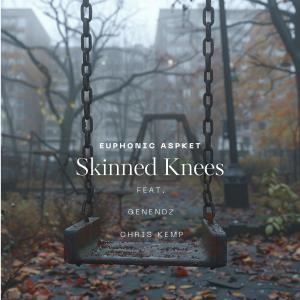 收聽Euphonic Aspekt的Skinned Knees歌詞歌曲