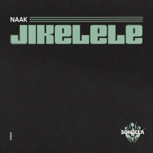 Album Jikelele from 