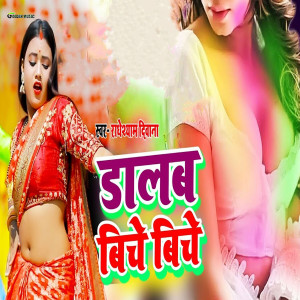 Listen to Dalab Biche Biche song with lyrics from Radheshyam Diwana