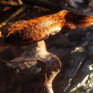 收聽1rokit的relatively still alive歌詞歌曲