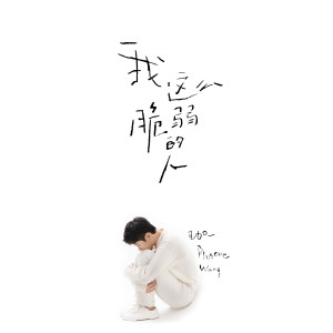 Album 我这么脆弱的人 oleh 王加一