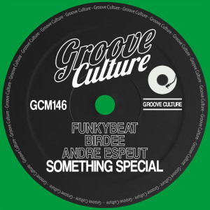 Dengarkan Something Special (Instrumental Mix) lagu dari Funkybeat dengan lirik