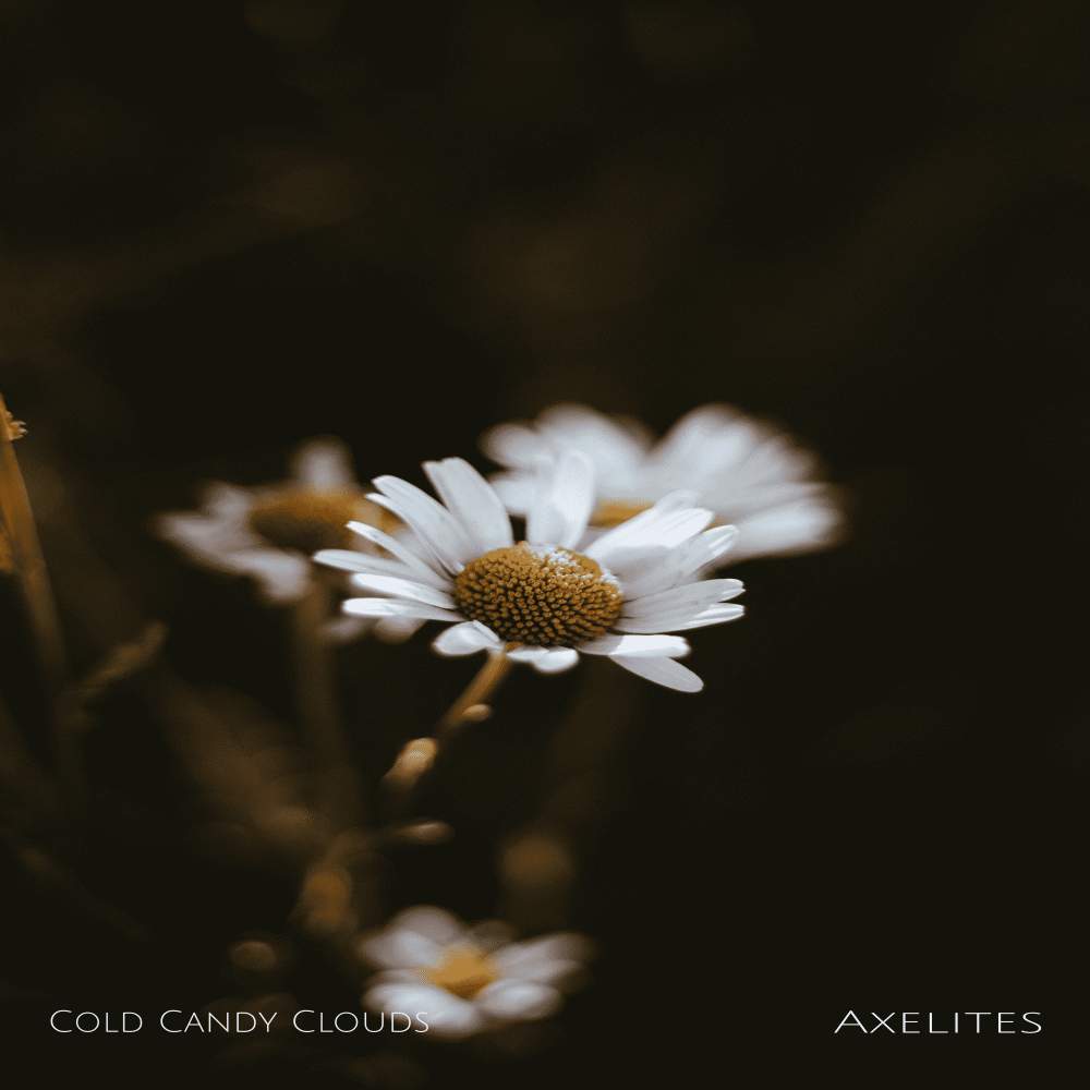  Permanent Petals 