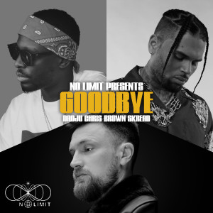Album Goodbye (Explicit) from No Limit