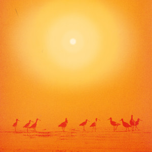 Dan Bay的專輯Ilumina