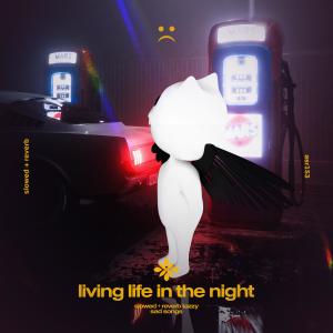 Album living life in the night - slowed + reverb from slowed + reverb tazzy