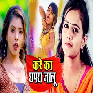 ดาวน์โหลดและฟังเพลง Kare Ka Chhapra Jalu พร้อมเนื้อเพลงจาก Nirbhay Nirala