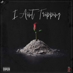 SHINE的专辑I Ain't Tripping (Explicit)