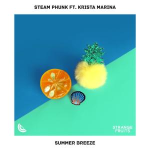 Listen to Summer Breeze(feat. Krista Marina) song with lyrics from Steam Phunk