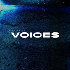 ดาวน์โหลดและฟังเพลง Flowers (Explicit) พร้อมเนื้อเพลงจาก Cocrane