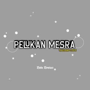 Raka Remixer的專輯Pelukan Mesra (WG)