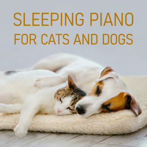 貴族音樂ASMR的專輯睡眠鋼琴 貓狗深層紓壓平靜音樂