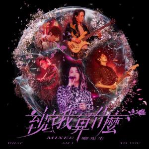 Listen to 到底我算什么 song with lyrics from 糜先生Mixer