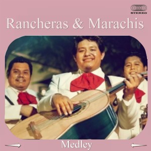 ดาวน์โหลดและฟังเพลง Rancheras & Mariachis Medley: Los Ojitos De Mi Chata / Estrellita Del Sur / Al Pie Del Cañón / Ando Como Bala / El Güiri Güiri / La Flecha / Mil Puñaladas / Aguanta Corazón / Bala Perdida / ¡Ay! El Amor / El Centauro Del Norte / El Cilindro De Mi P พร้อมเนื้อเพลงจาก Various