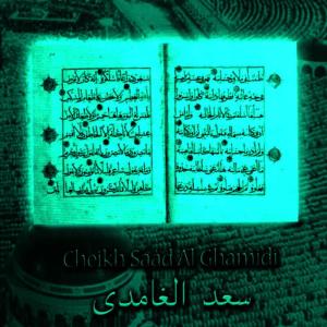 Cheikh Saad El Ghamidi的專輯An-Nisa