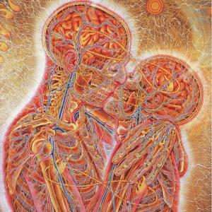 ดาวน์โหลดและฟังเพลง Don't Mind Me, We Are (Explicit) พร้อมเนื้อเพลงจาก LiL BO WEEP