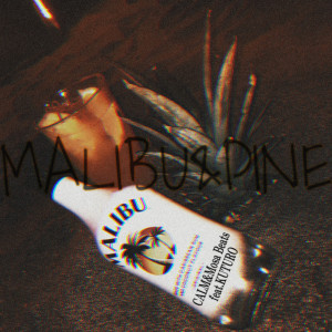 Listen to MALIBU&PAIN (feat. KUTURO) song with lyrics from Calm