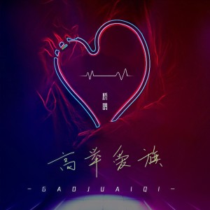 Listen to 高举爱旗 (完整版) song with lyrics from 桥鹊
