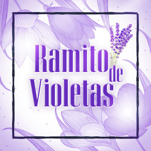 ดาวน์โหลดและฟังเพลง Dejenla Que Baile พร้อมเนื้อเพลงจาก Impacto De Montemorelos