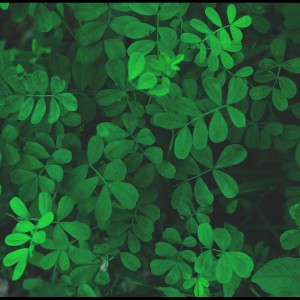 ดาวน์โหลดและฟังเพลง Mind Journey พร้อมเนื้อเพลงจาก Deep Sleep