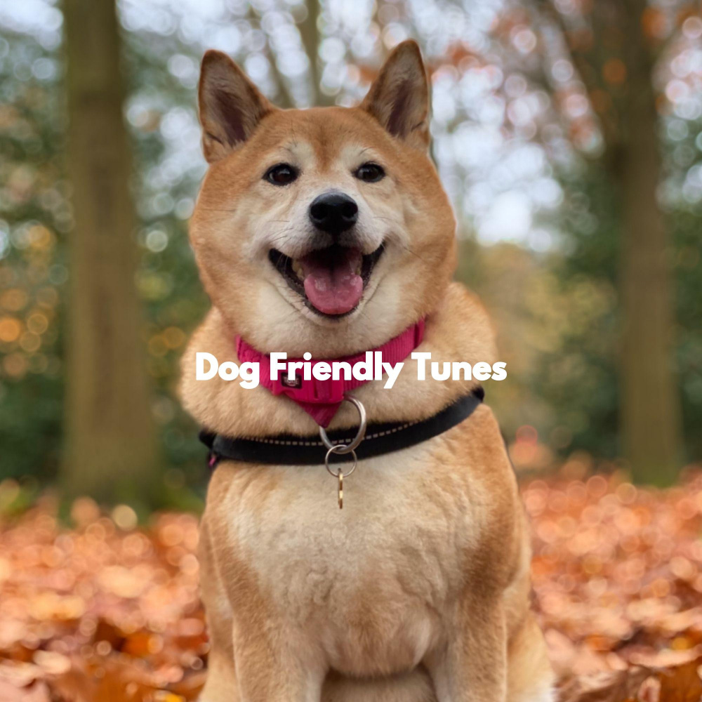 Feelings - Puppy Rest
