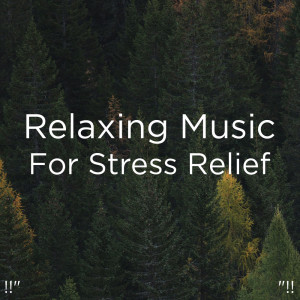 Listen to Nature Birds Chirping song with lyrics from Deep Sleep