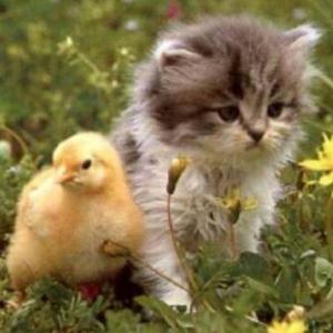 Nokya的專輯Una ultima vez (feat. Swaggermechi) [Explicit]