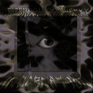 收聽SAFRIMXV的INCARNATION歌詞歌曲