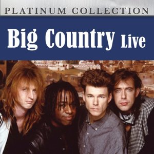 ดาวน์โหลดและฟังเพลง Chance พร้อมเนื้อเพลงจาก Big Country