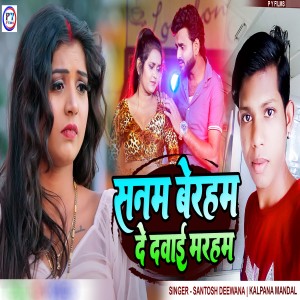 Listen to Sanam Beraham De Dawai Marham song with lyrics from Santosh Deewana