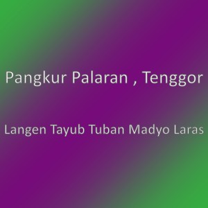 收听Pangkur Palaran的Langen Tayub Tuban Madyo Laras歌词歌曲