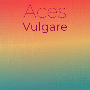 收聽Brit Oses的Lucid Relation歌詞歌曲