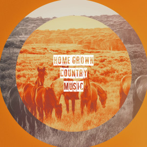 อัลบัม Home Grown Country Music ศิลปิน Country Music All-Stars