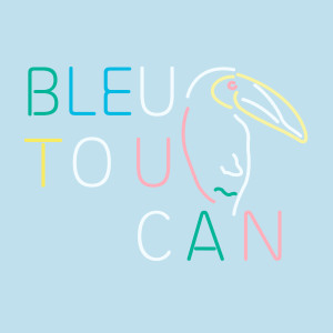 ดาวน์โหลดและฟังเพลง Le chant du cygne พร้อมเนื้อเพลงจาก Bleu Toucan