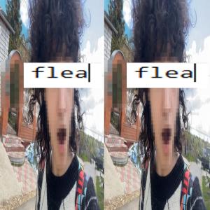 Unitz的專輯flea (Explicit)