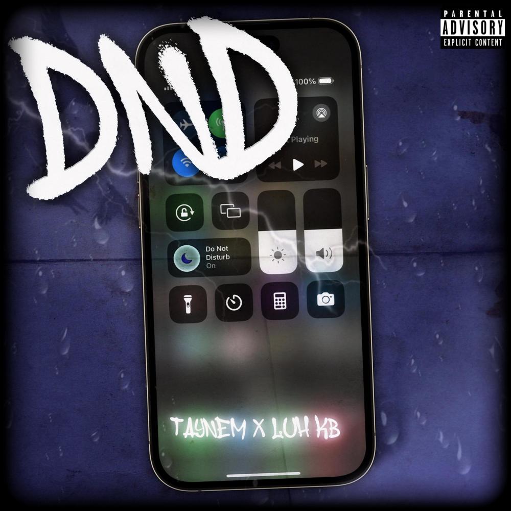 DND (feat. TayNem) (Explicit)