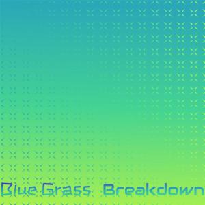 Listen to Stars & Stripes song with lyrics from Guckenheimer Sourkraut Band
