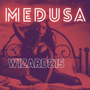 ดาวน์โหลดและฟังเพลง Medusa (Explicit) พร้อมเนื้อเพลงจาก Wizard215