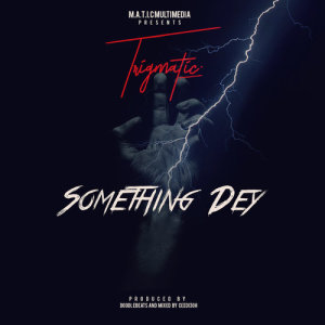 Listen to Something Dey song with lyrics from Trigmatic