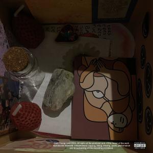 Album 真赝相爱 (Explicit) from Yxung Lord