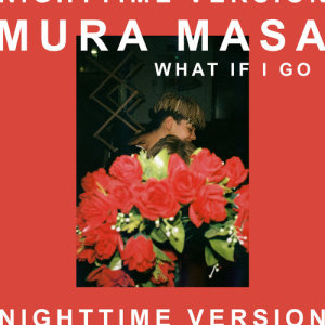 Mura Masa的專輯What If I Go?