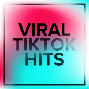 Various Artists的專輯Viral TikTok Hits 2022 | 2023 (Explicit)