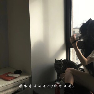 Album 灌伤害骗骗花（DJ柠檬叉摇） from 