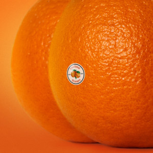 Emotional Oranges的專輯The Juice: Vol. II