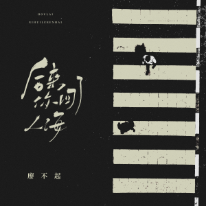 Album 后来你回了人海 from 廖不起
