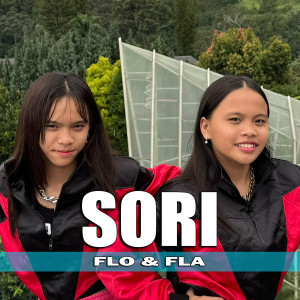Listen to Sori song with lyrics from Diego Takupaz