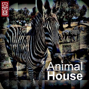 Various Artists的專輯Animal House